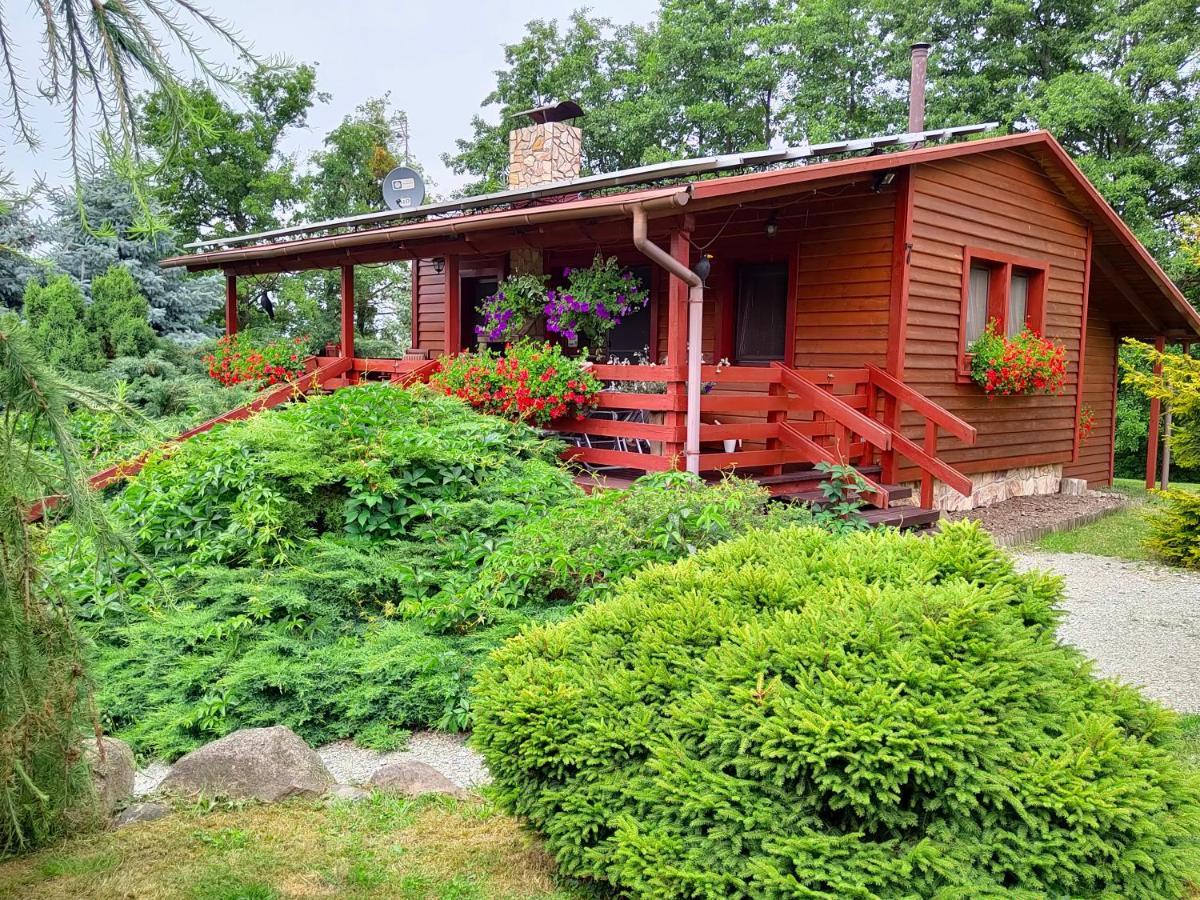U Sosenki Villa Morzecin Maly Exterior photo